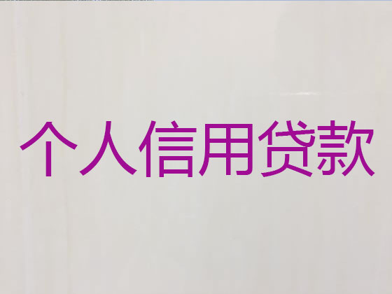 天津抵押贷款公司-银行信用贷款